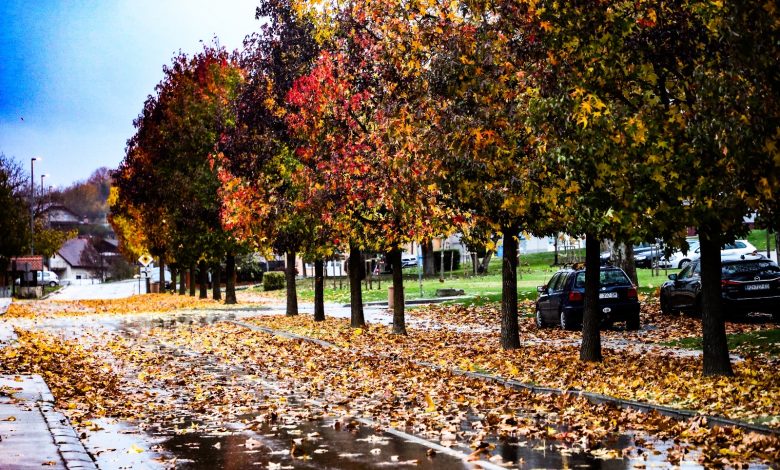 Studeni u Pleternici