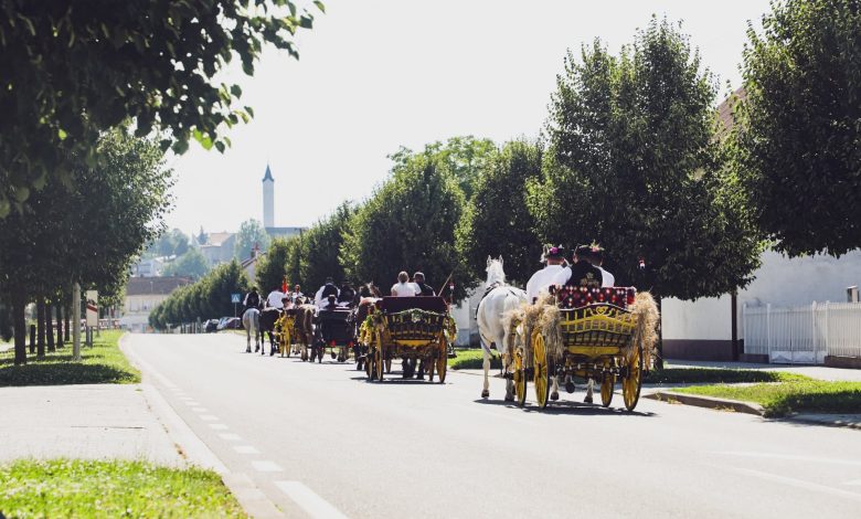Tisuće koraka kroz tradiciju, sport i slavonske okuse: Pleternica ponovno oduševila bogatim vikendom