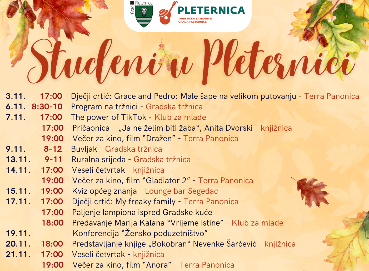 Studeni u Pleternici