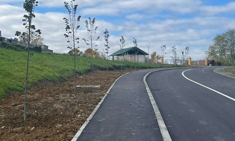 Nove sadnice srebrnolisne lipe u Aleji Ljudevita Petraka