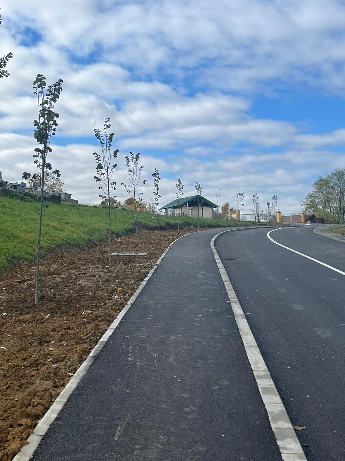 Nove sadnice srebrnolisne lipe u Aleji Ljudevita Petraka