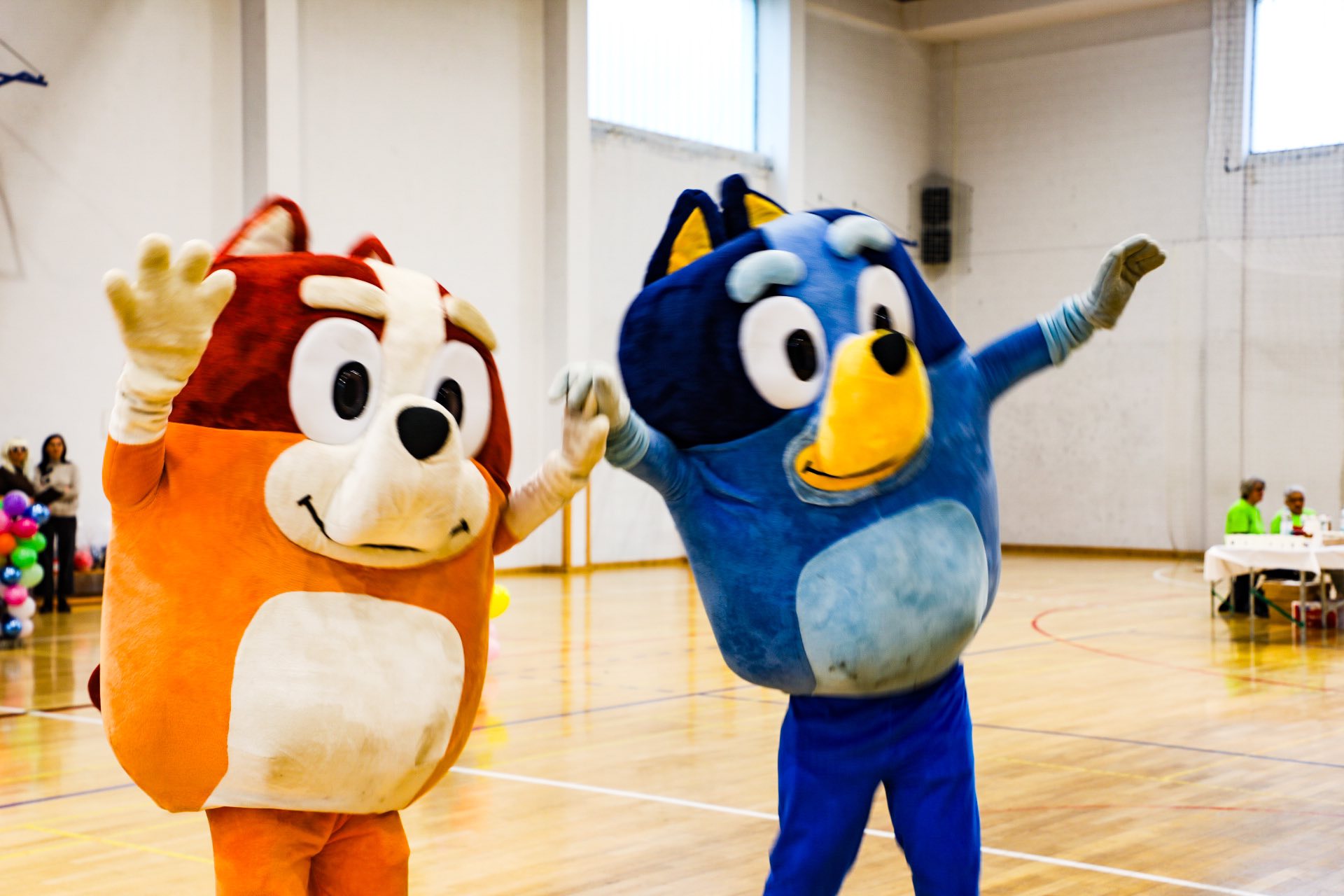 Vesele maškare održane u Pleternici